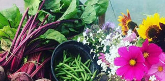 Free seasonal eating workshop for climate impact