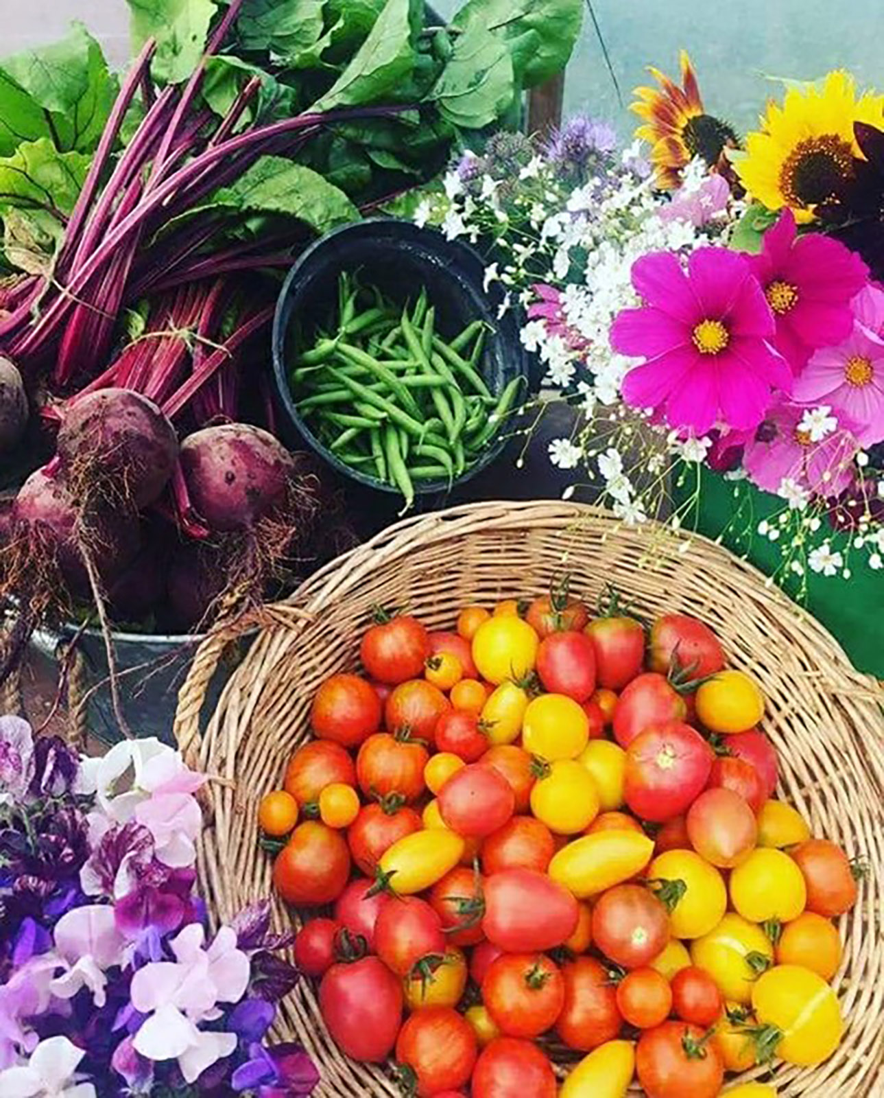 Free seasonal eating workshop for climate impact