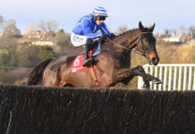 Cork Racecourse Mallow gears up for action-packed Easter Festival weekend