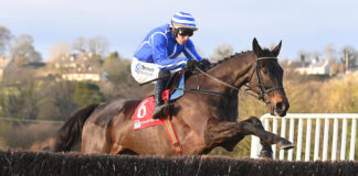 Cork Racecourse Mallow gears up for action-packed Easter Festival weekend