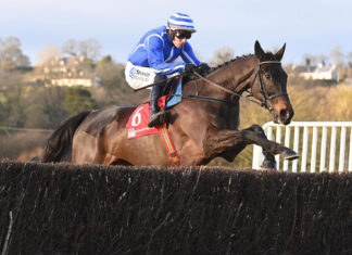Cork Racecourse Mallow gears up for action-packed Easter Festival weekend