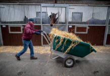 Nationwide survey to help shape the future of employment, education and training in Irish racing