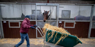 Nationwide survey to help shape the future of employment, education and training in Irish racing