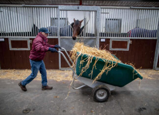 Nationwide survey to help shape the future of employment, education and training in Irish racing
