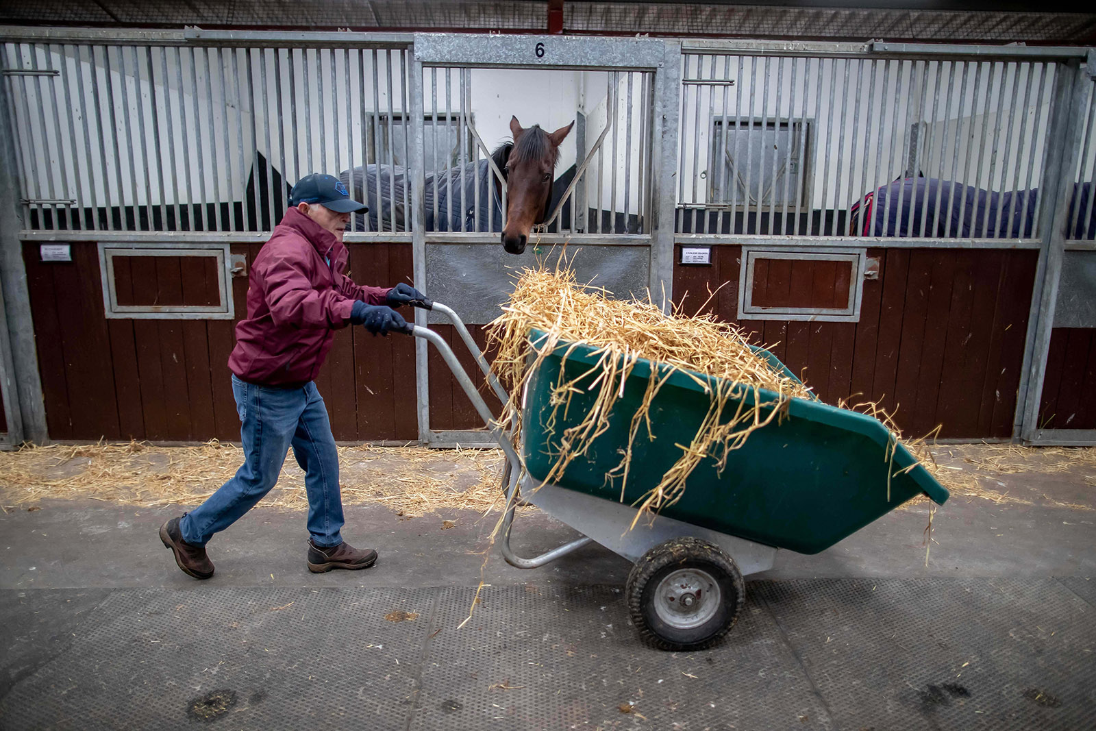 Participate in a nationwide survey to shape the future of employment in Irish racing. Your insights are vital for industry growth.