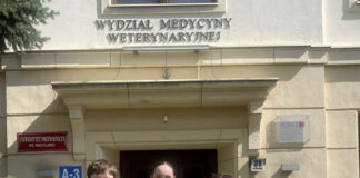 Mitchelstown student keeps GAA spirit alive in Poland