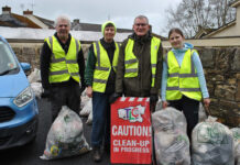 Lots of TLC on show in Limerick