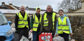 Lots of TLC on show in Limerick