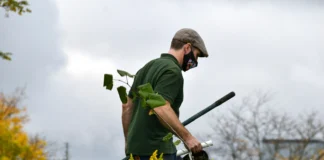 How Electric Gardening Tools Change Gardening Habits