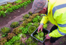 New Rural Social Scheme Pilot opens opportunities for more rural residents across Ballyhoura