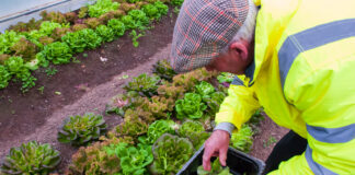 New Rural Social Scheme Pilot opens opportunities for more rural residents across Ballyhoura