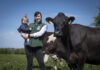 Search begins for 2026 FBD Young Farmer of the Year