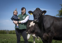 Search begins for 2026 FBD Young Farmer of the Year