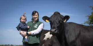 Search begins for 2026 FBD Young Farmer of the Year