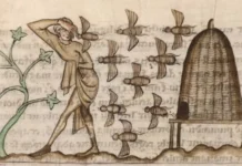 Why early medieval Ireland had laws for bees