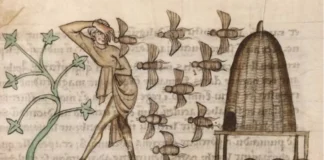 Why early medieval Ireland had laws for bees