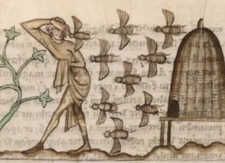 Why early medieval Ireland had laws for bees
