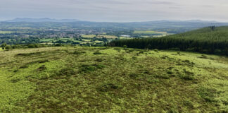 Further 8 acres to be preserved by Corrin Nature Reserve