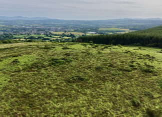 Further 8 acres to be preserved by Corrin Nature Reserve