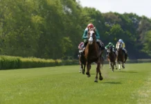 The last five winners of the Prix de l’Arc de Triomphe