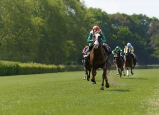 The last five winners of the Prix de l’Arc de Triomphe