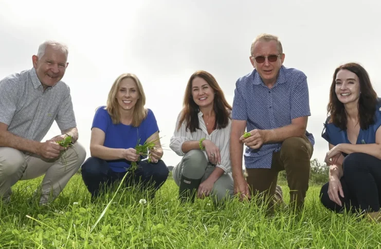 6 Cork farms finalists for the 2026 NDC & Kerrygold Quality Milk Awards