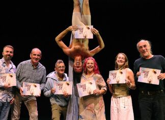 Ireland’s leading aerial dance company expanding