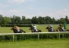 Top Irish prospects at Ascot: Aidan O’Brien’s horses could steal the show