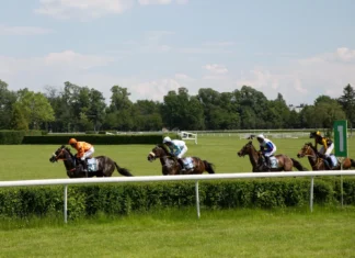 Top Irish prospects at Ascot: Aidan O’Brien’s horses could steal the show