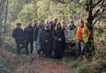 Guided walks explore the hidden value of Ballyhoura and Galtee peatlands