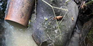 ‘Raw sewage’ flows into river in Carrignavar