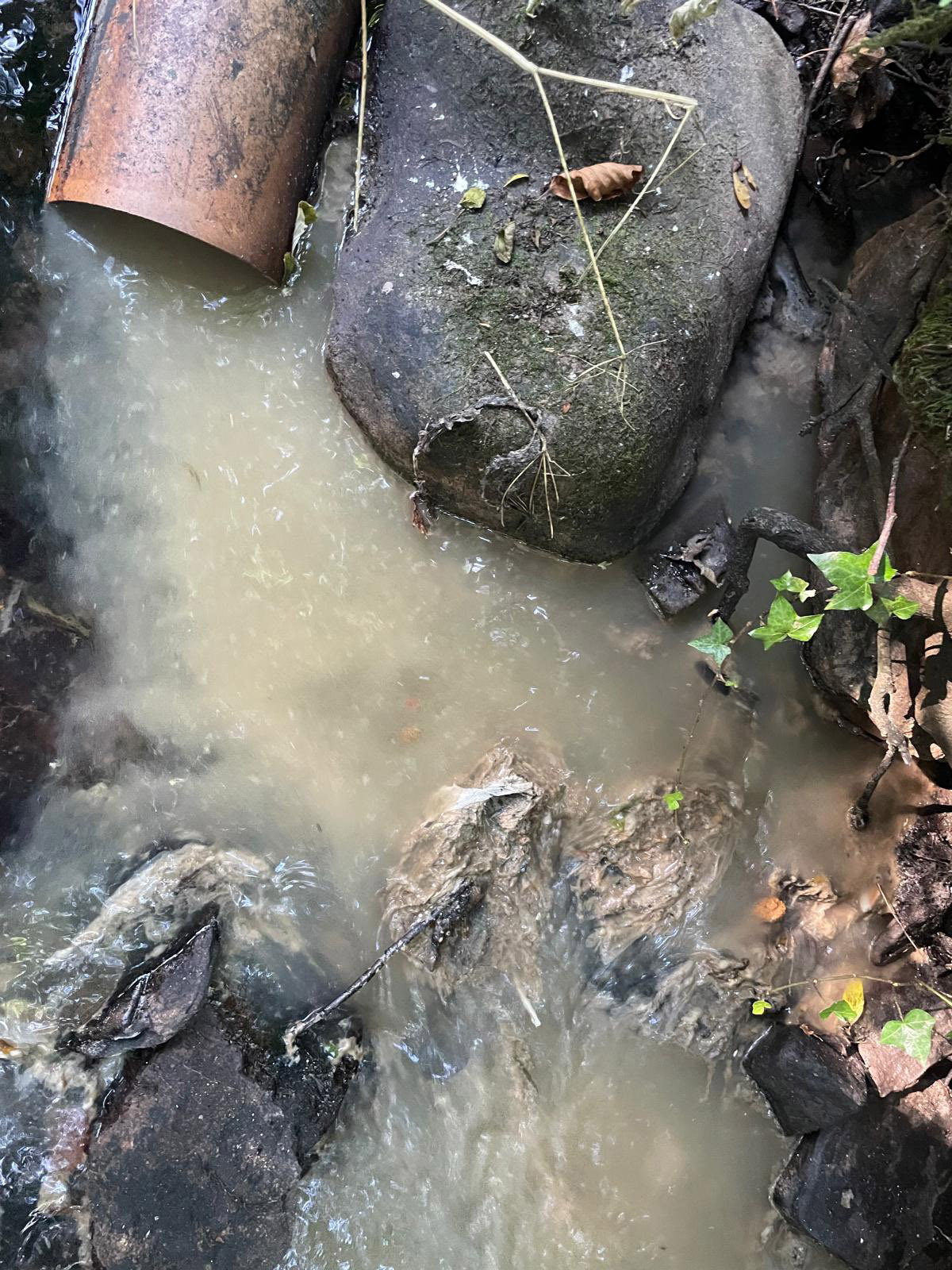 Investigate the critical situation in Carrignavar where 'raw sewage' flows into the river, affecting local health and environment.