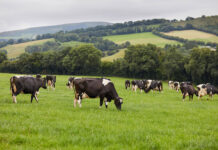 Tirlán launches targeted €1.7m support package to help milk suppliers manage dry weather impact