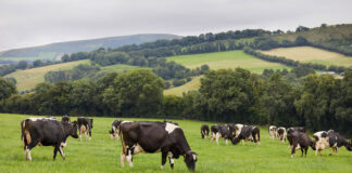 Tirlán launches targeted €1.7m support package to help milk suppliers manage dry weather impact