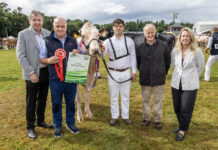 County Cork breeders wins Best Junior Cow and Best Ebi At 2026 Diageo Baileys Irish Champion Dairy Cow