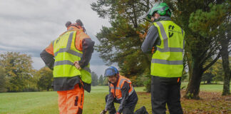 Free chainsaw training courses now open for farmers and farm workers