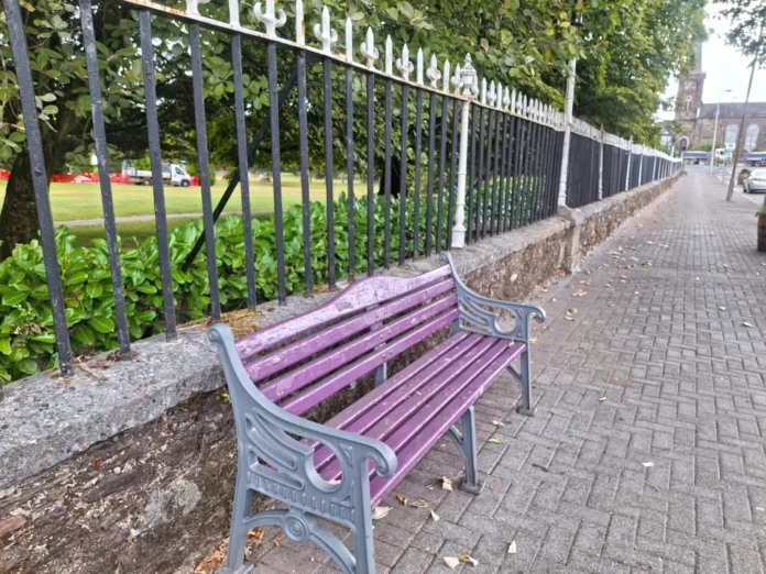 Cherry Laurel Fermoy Town Park August 2026 3@18-08-2026-15-08-43-1