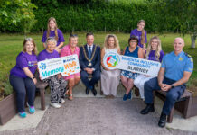 Mallow to host one of six Alzheimer’s Memory Walk across Cork