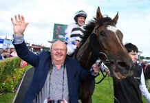 Mighty Berkshire wins handicap hurdle for local syndicate