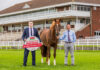 Dairygold Co-Op Superstores renews title sponsorship at Cork Racecourse Mallow