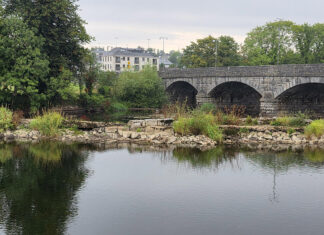 Fermoy weir costs rise to ‘€8-10 million’