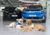 Ford Ireland launches second year of ‘Drive for Your Community’ with Irish Guide Dogs