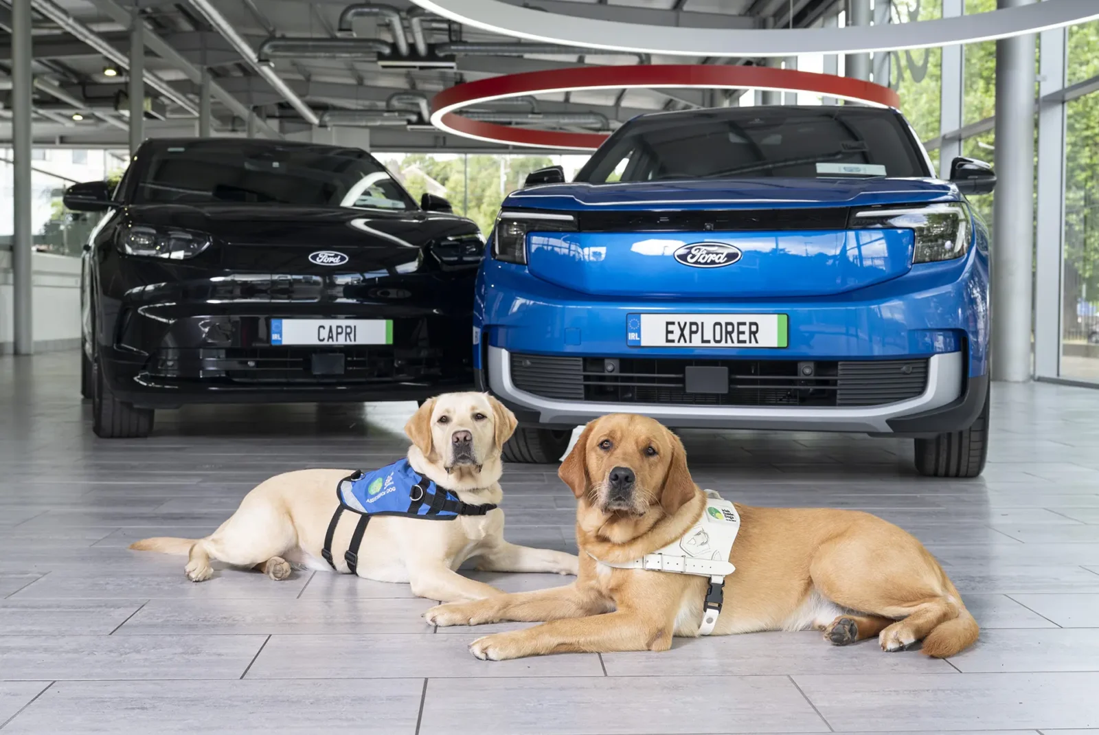 Ford Ireland launches second year of ‘Drive for Your Community’ with Irish Guide Dogs