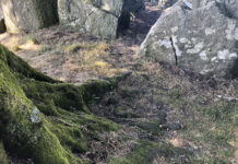Heritage at risk at Hag’s Bed tomb