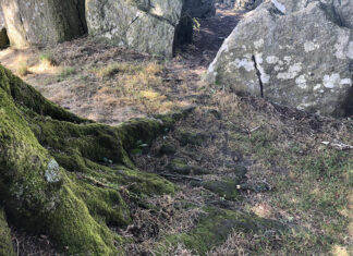 Heritage at risk at Hag’s Bed tomb