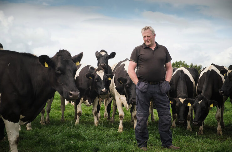 Factories urged to back autumn cattle