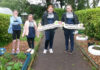 Cork School Garden Workshops for primary schools returns