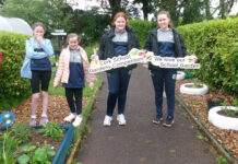 Cork School Garden Workshops for primary schools returns