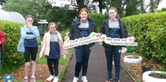 Cork School Garden Workshops for primary schools returns