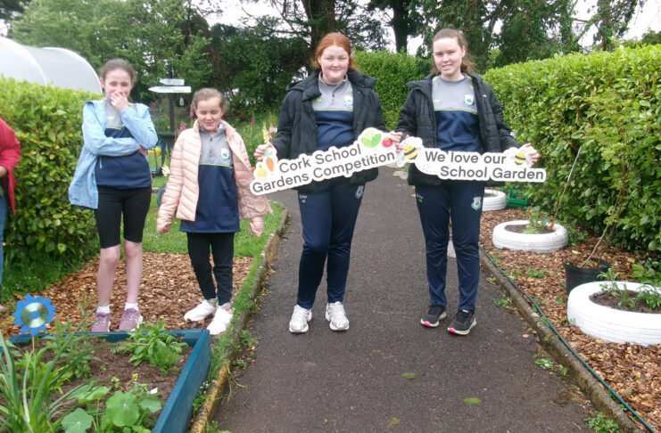 Cork School Garden Workshops for primary schools returns